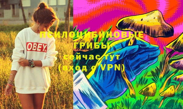дмт Абаза