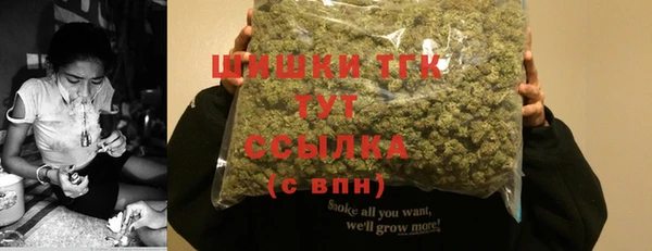 сатива Абинск