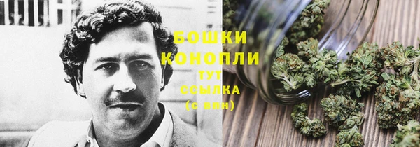дмт Абаза
