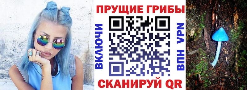 Галлюциногенные грибы MAGIC MUSHROOMS  Тотьма 